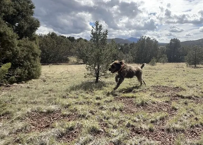 Modern Pet-friendly A-frame Retreat With Stargazing Deck & Mountain Views Near Grand Canyon South Rim & Williams, Arizona Williams